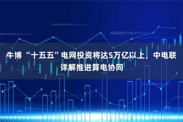牛博 “十五五”电网投资将达5万亿以上，中电联详解推进算电协同