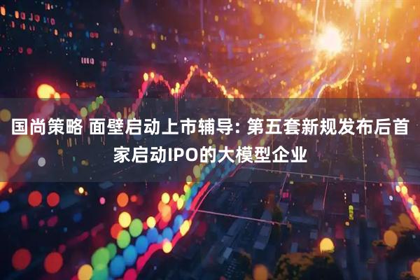 国尚策略 面壁启动上市辅导: 第五套新规发布后首家启动IPO的大模型企业