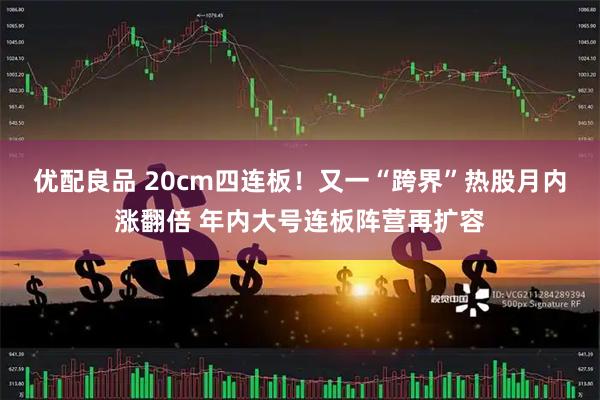 优配良品 20cm四连板！又一“跨界”热股月内涨翻倍 年内大号连板阵营再扩容